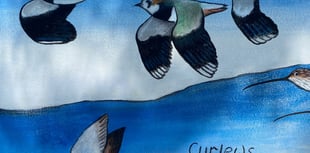 Modbury unveils new wildlife mural