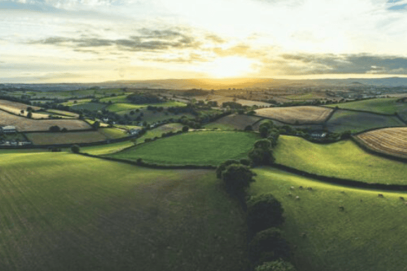 Devon County Council