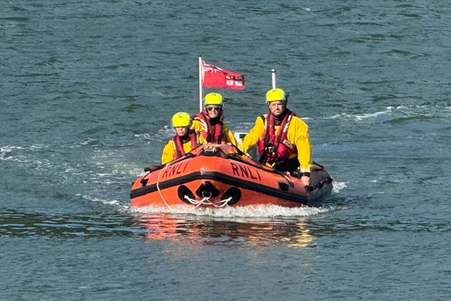 Dart RNLI rescue golden labrador Molly from fall near Dartmouth Castle