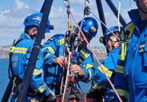Dog rescued by coastguard in cliff drama