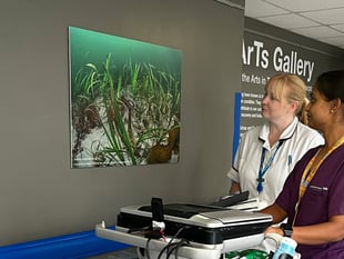 Explore Torbay: New HeArts Gallery exhibition opens 