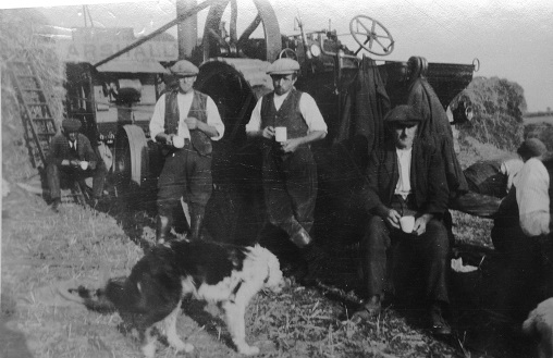 Higher Coombe Farm, East Allington - farm workers having a tea break in front of steam tractor and thresher. Farm dog in foreground.