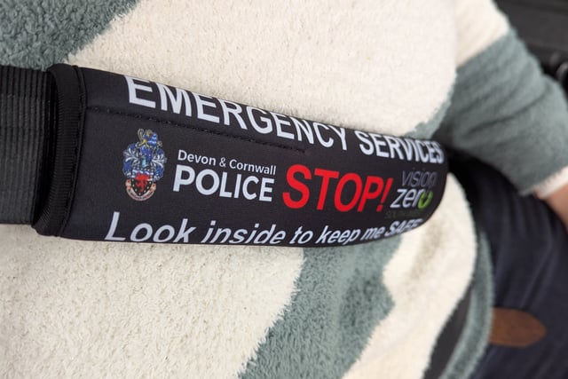 Free seatbelt covers for those with additional needs