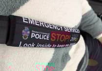 Free seatbelt covers by Devon and Cornwall Police