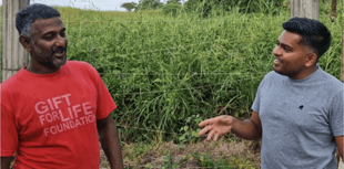 Uncover the mystery of the Moruga Scorpion Chilli