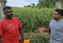 Uncover the mystery of the Moruga Scorpion Chilli