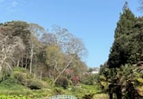 Visit Cornwall's Stunning Trebah and Glendurgan Gardens