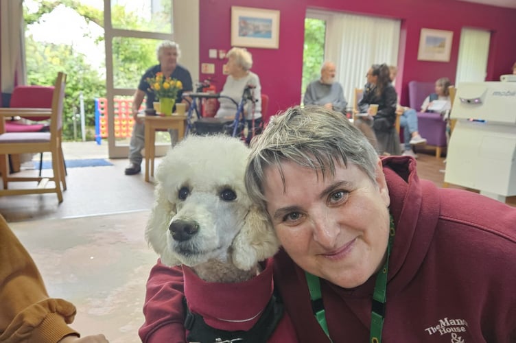 dog therapy