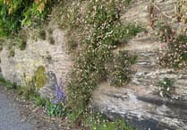 Floods and Droughts: Nature's Resilience