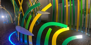 Torbay Hospital unveils Seagrass Meadow sculpture