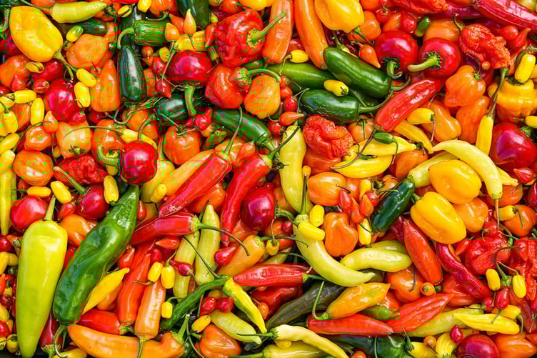 Chilli Farm chillies