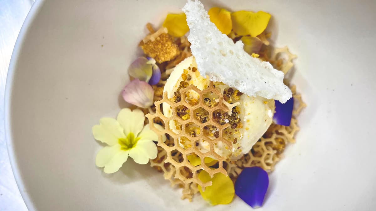 Totnes restaurant cooking up success for young chef