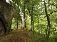 National Trust seek extension for Miners’ Cottage in Plymbridge Woods