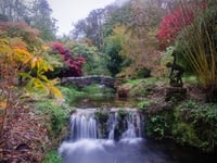 Lukesland Gardens reopens with art exhibition