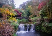 Visit Lukesland Gardens this autumn