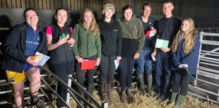Ivybridge Young Farmers triumph at club lamb stock final