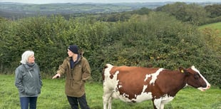 Voaden slams Govt for “tone deaf” refusal to reverse family farm tax