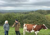 Voaden slams Government for “tone deaf” refusal to reverse family farm tax