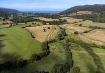 More green space in South Devon than English average
