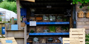 A visit to Landworks in Dartington