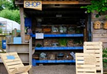 A visit to Landworks in Dartington