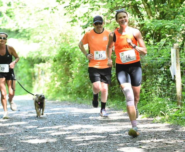 Run the Dart Challenge to support playground fundraiser