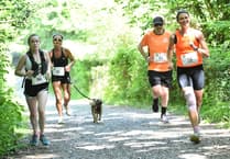 Take on Dart Challenge and make a difference