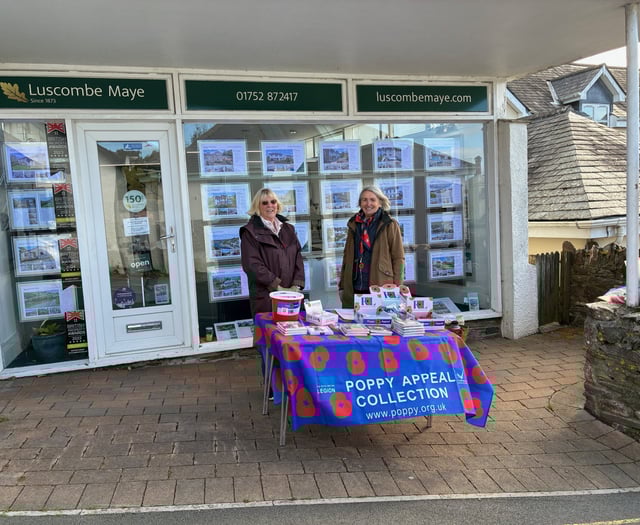 Luscombe Maye staff support Royal British Legion's Poppy Appeal