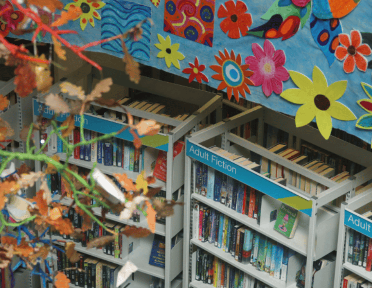 A decade of stories: Devon’s library service celebrates 10 years