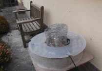 Discover Autumn's Marvelous Moths in Your Garden