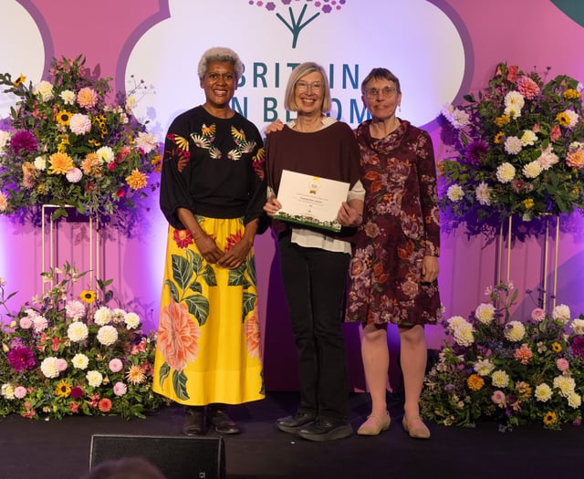 Kingsbridge wins RHS Gold Award at Britain in Bloom finals