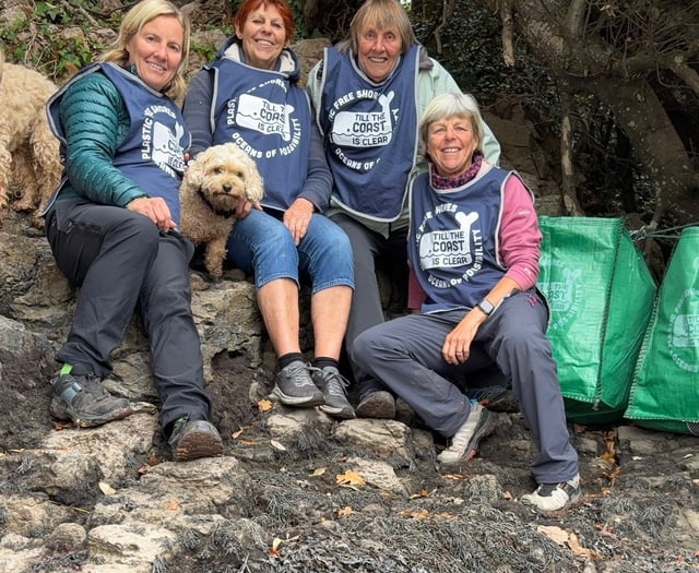 Dart Harbour partners with Till the Coast is Clear 