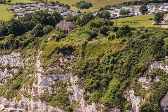 Devon Unitary Authorities Plan for £500M Savings