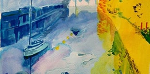 Totnes artist Fiona Green's cancer battle and art triumph