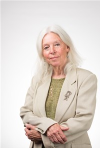 Devon councillors slam 'hopeless' restructure