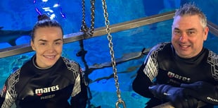 Snorkelling success for "brilliant" Luna's Fund