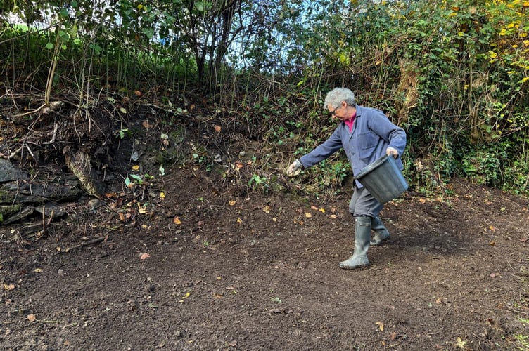 Sowing the seed. Credit Liz Montague