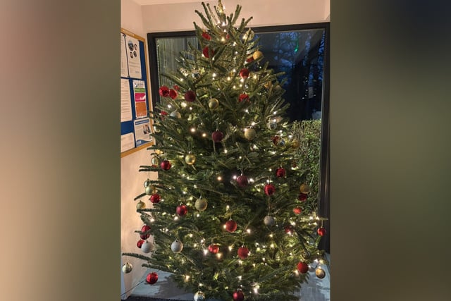 Selworthy Vets' touching Remembrance Christmas tree