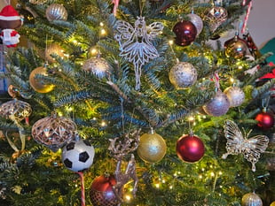 Totnes family disco wins hearts in festive competition