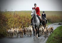 Devon hunts fight trail hunting ban