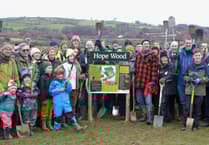 Discover Hope Wood's community impact