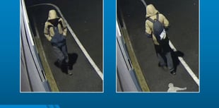 Devon and Cornwall Police seek witness in fatal Ashburton collision