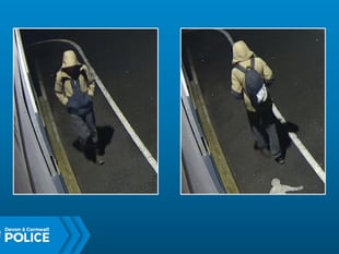 Devon and Cornwall Police seek witness in fatal Ashburton collision