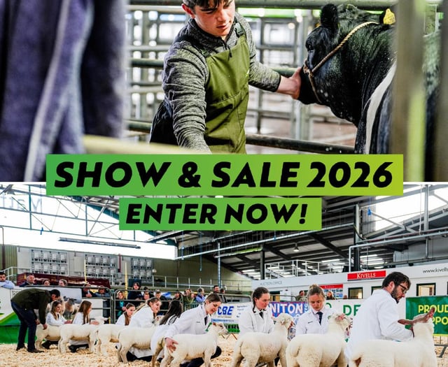 Devon YFC seeks South Hams entrants for livestock show