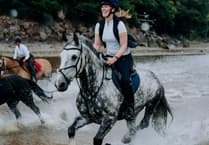 Vet's quick actions save Barney