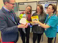 Dental programme launched to improve children's oral health