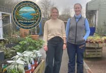 Visit Start Bay: Open for business