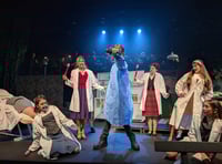 Ivybridge students shine in Little Shop of Horrors production