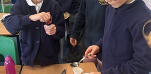 Harbertonford Primary School's British Science Week inspires pupils