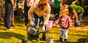 Devonport community rallies for Mount Wise garden restoration